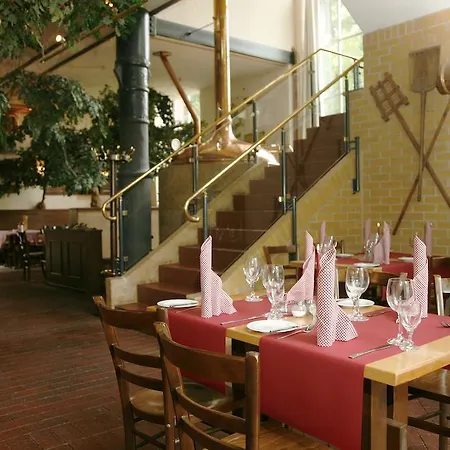 ホテルパーク シュタットブラウエライ 4*